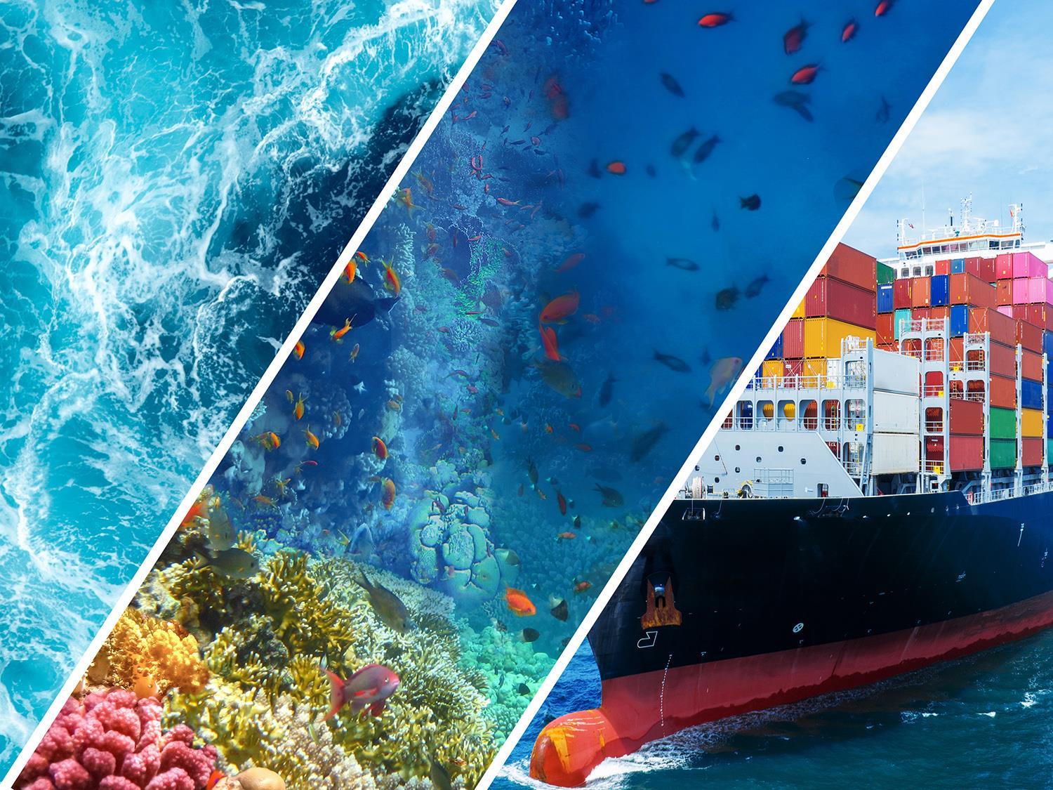 World Maritime Day theme 2025: Our Ocean, Our Obligation, Our Opportunity