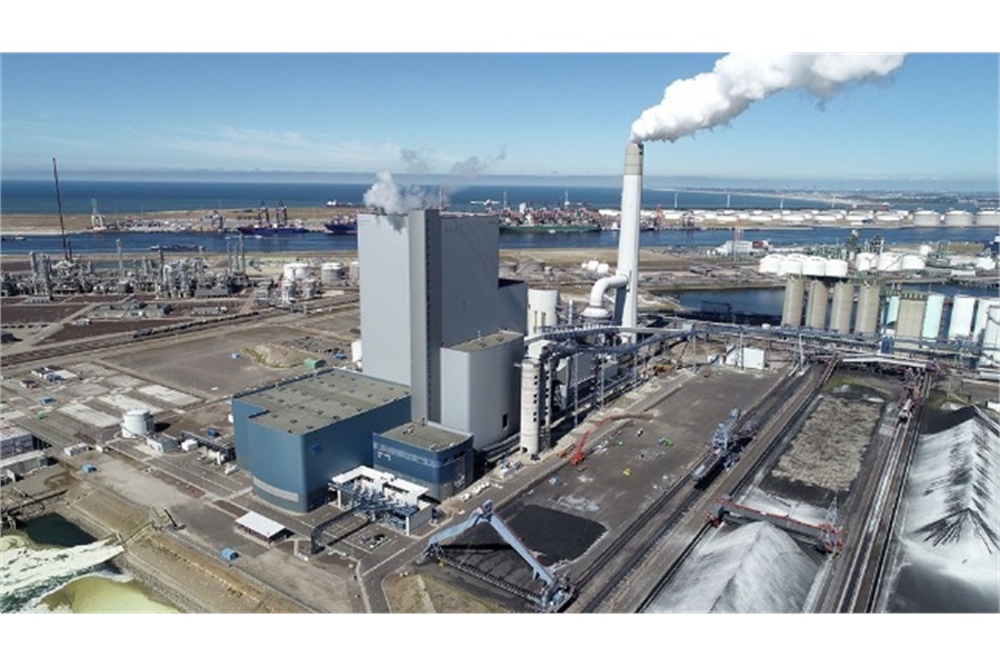 Port of Rotterdam Studies Potential for Large Green Hydrogen Plant