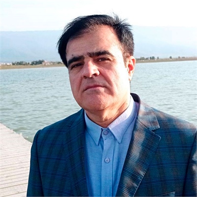 سید محسن طیرانی