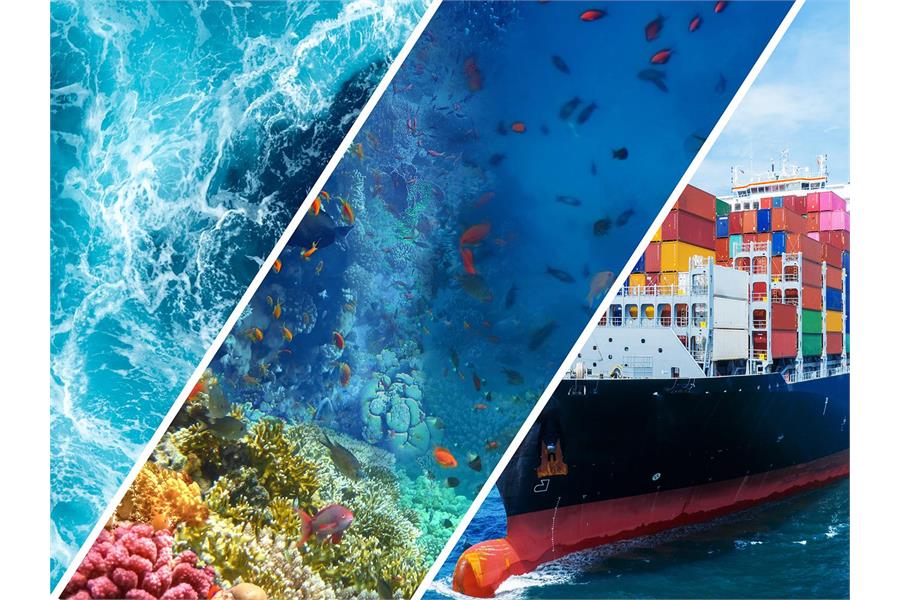World Maritime Day theme 2025: Our Ocean, Our Obligation, Our Opportunity