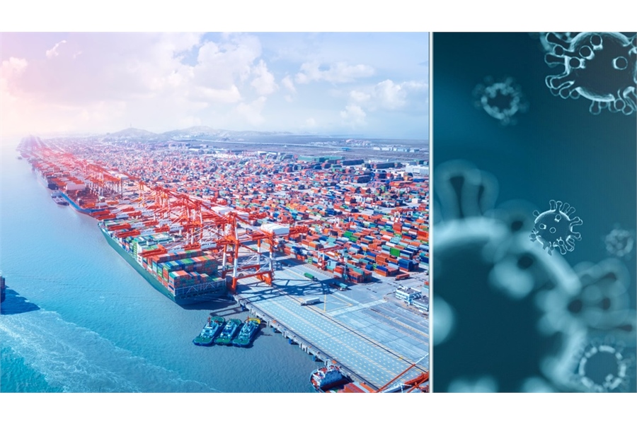 Intensive Covid-19 related measures and protocols for Indian ships in Iranian ports