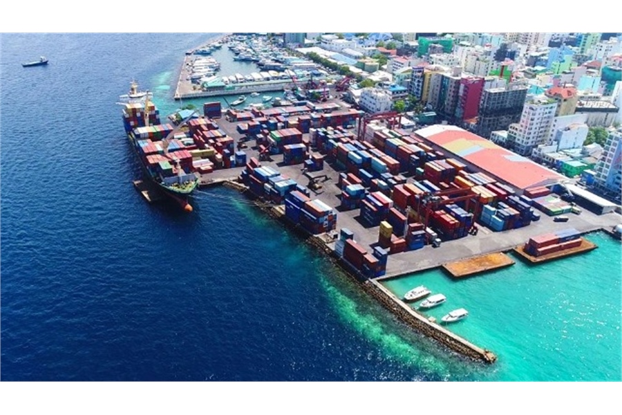 Bizarre Cases of Food Poisoning on Three Different Ships
